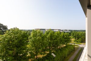 Immobilier 3065PAS 0010