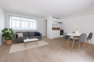 Salon et salle a manger modernes