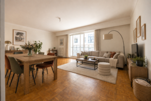 Salon meuble